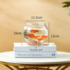 Bassin Transparent en PET pour Poisson Betta