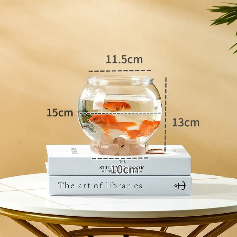 Bassin Transparent en PET pour Poisson Betta