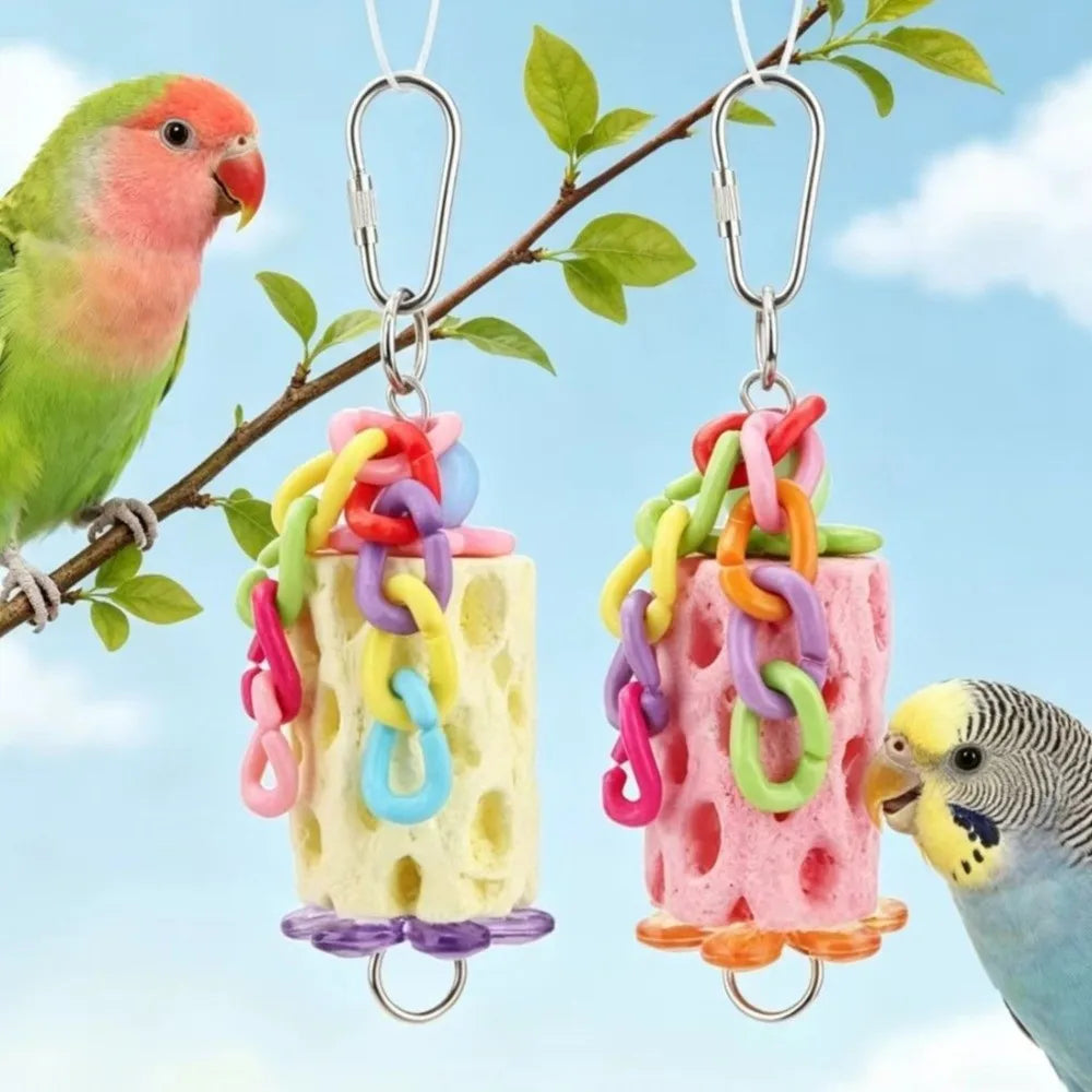 Two colorful plastic hanging toys shaped like blocks are suspended from a branch next to a parrot.
