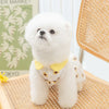 Princess Mesh Dog Dress with Bow Lace Trim