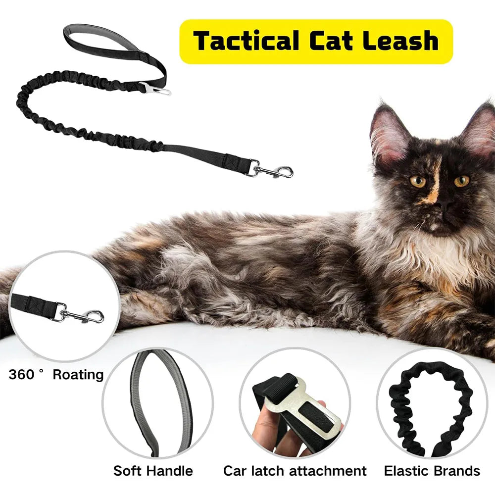 Tactical cat leash featuring a soft handle and elastic strands for pet control