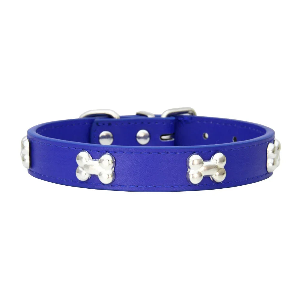 A royal blue padded leather dog collar with silver bone rivets.