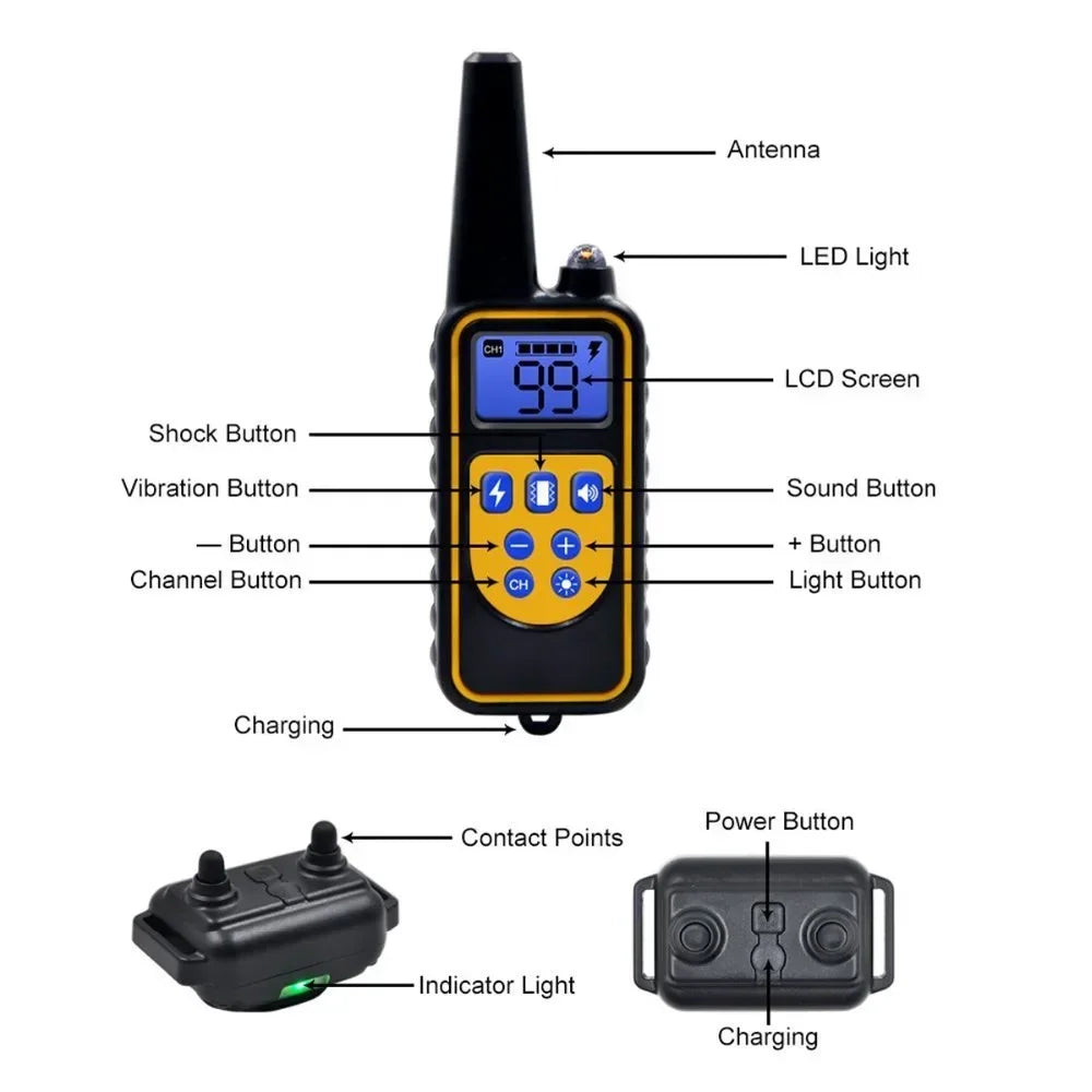 Rechargeable Dog Training Collar with Remote Control