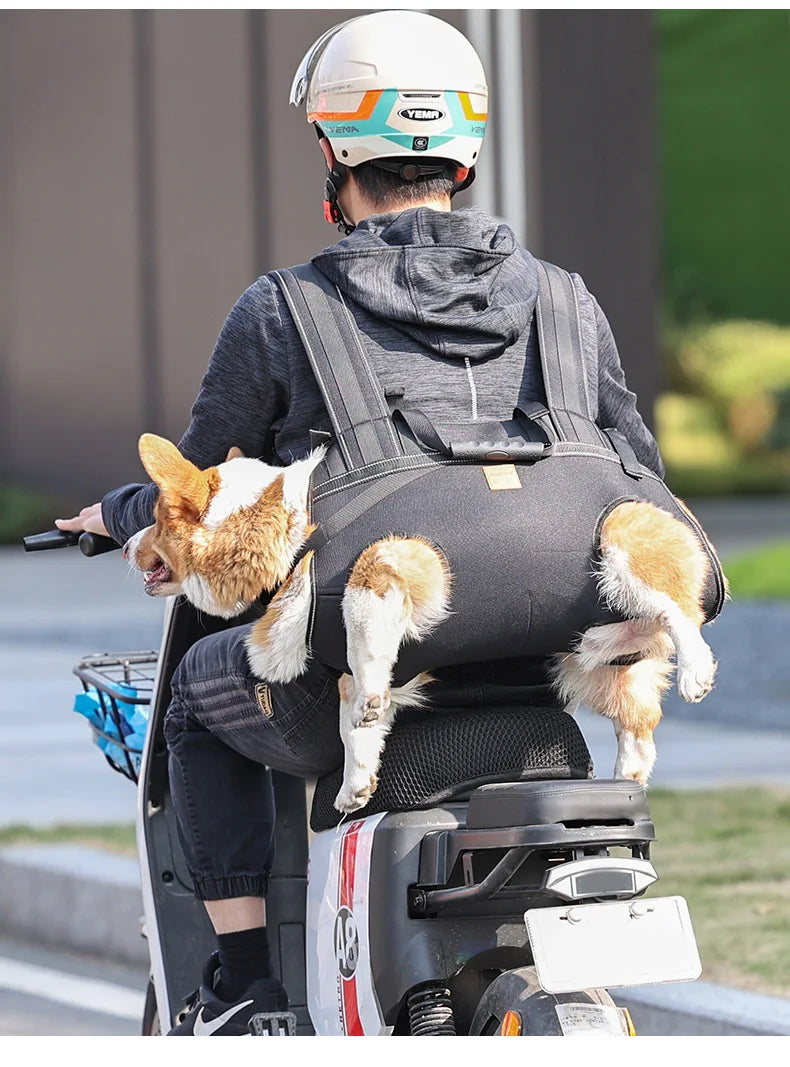 Eine Person mit Helm trägt einen großen Hund in einem Transport-Rucksack im Freien.