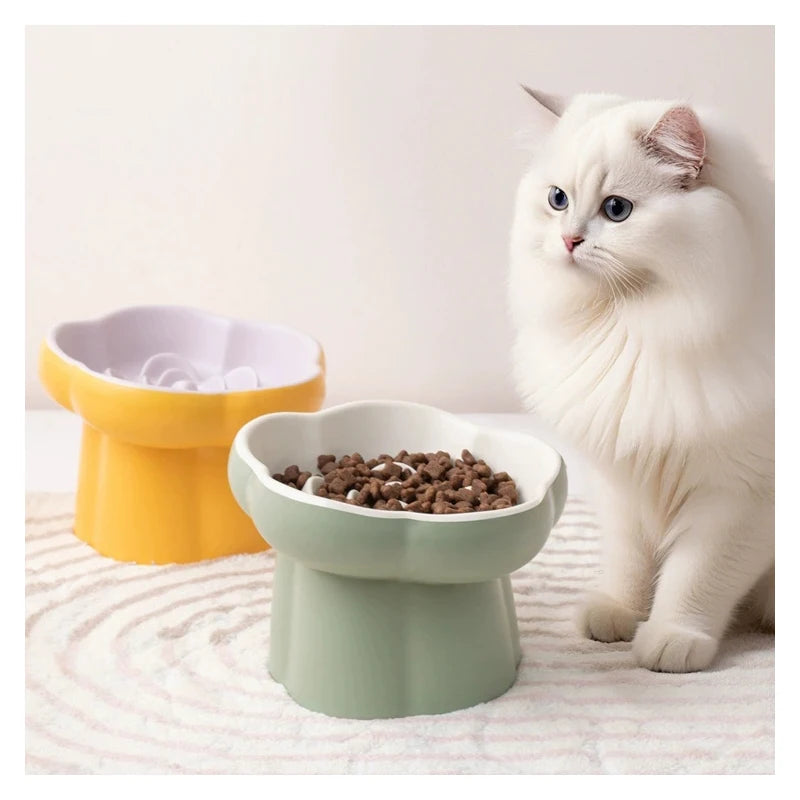 A fluffy white cat sits next to a light green ceramic slow feeder bowl filled with dry food.