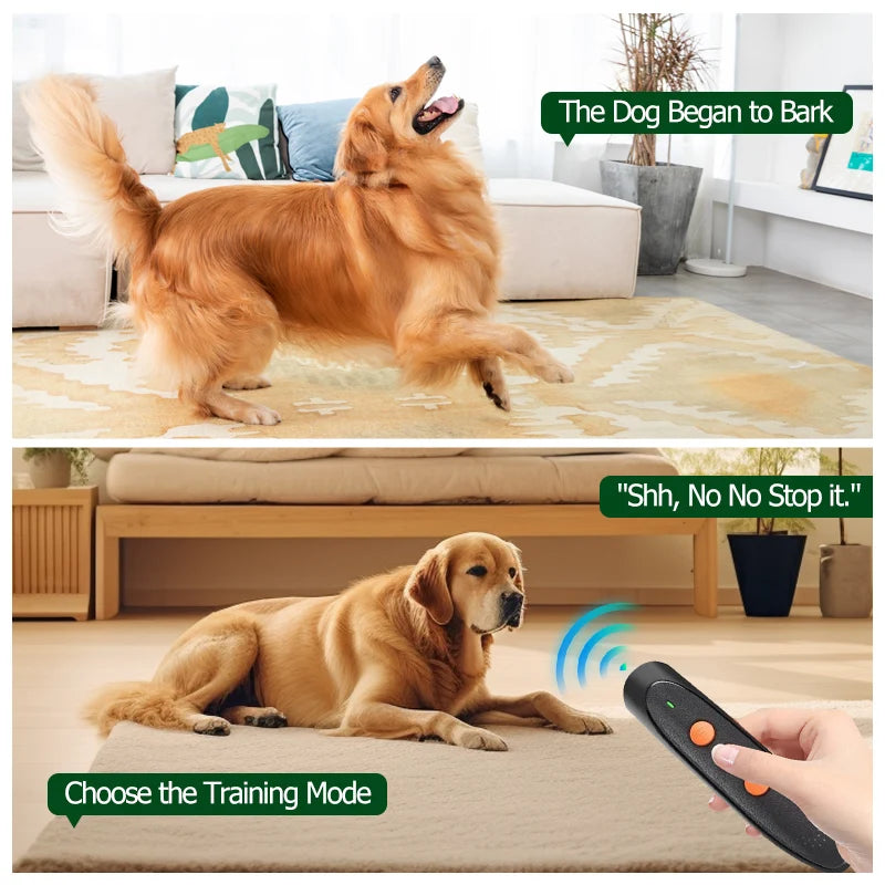 A golden retriever is shown in a living room setting with a training device for dog bark deterrence.