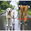 Two-in-One Pet Harness and Car Safety Belt with Reflective Leash