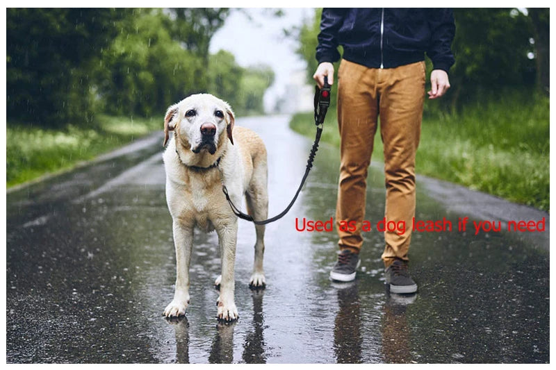 Two-in-One Pet Harness and Car Safety Belt with Reflective Leash