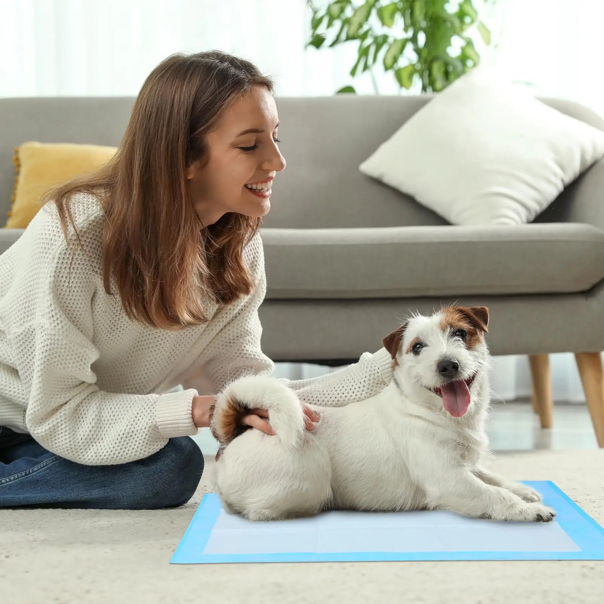Leak-Proof Dog Pee Pads with Quick-Dry Absorbent Core