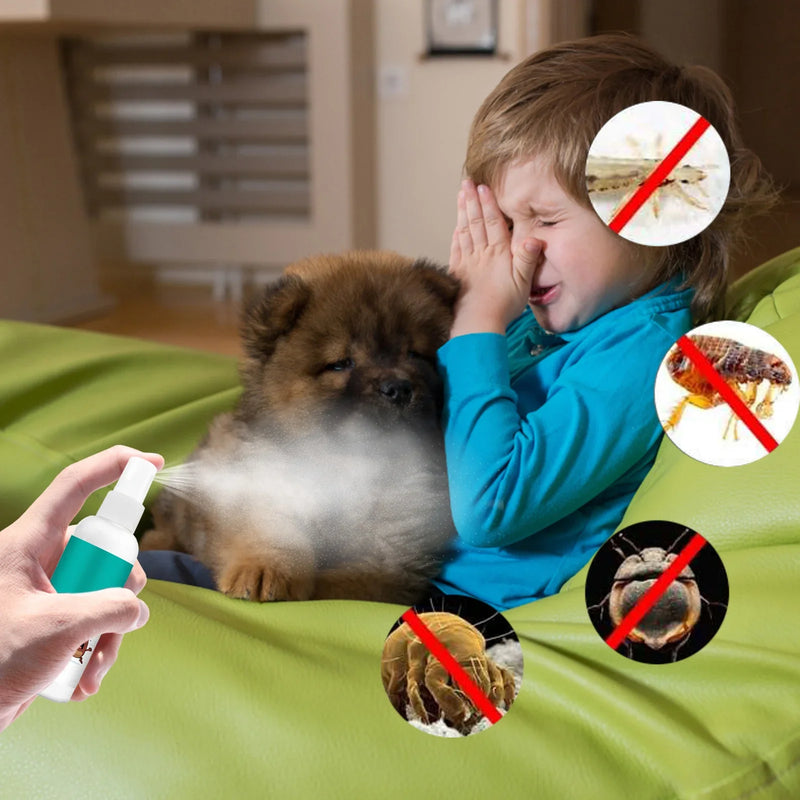 100ml Flea and Tick Prevention Spray for Dogs and Cats