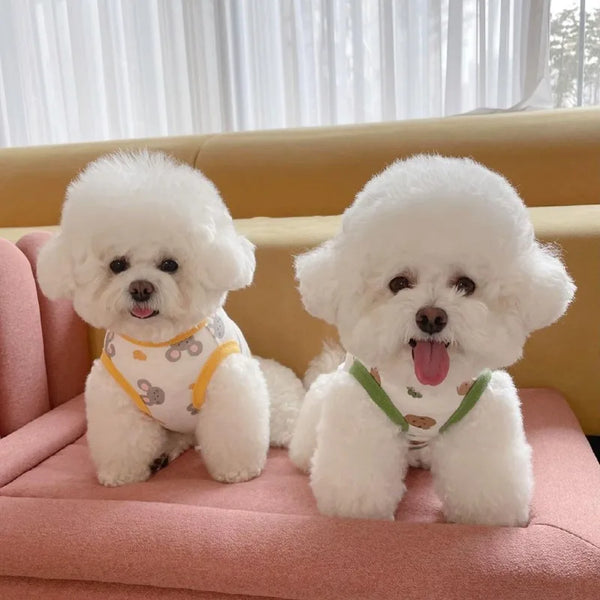 A fluffy white dog wearing a lightweight summer vest with a cute bear print, sitting indoors.