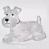 Transparent Pet Hair Keepsake Charm for Keys