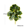 Artificial Heart-Leaf Ficus Plant with Green Leaves