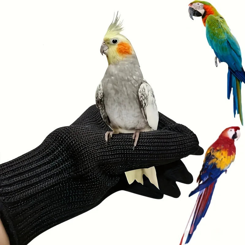 A hand wearing a black anti-bite glove holds a small, pale gray parrot.
