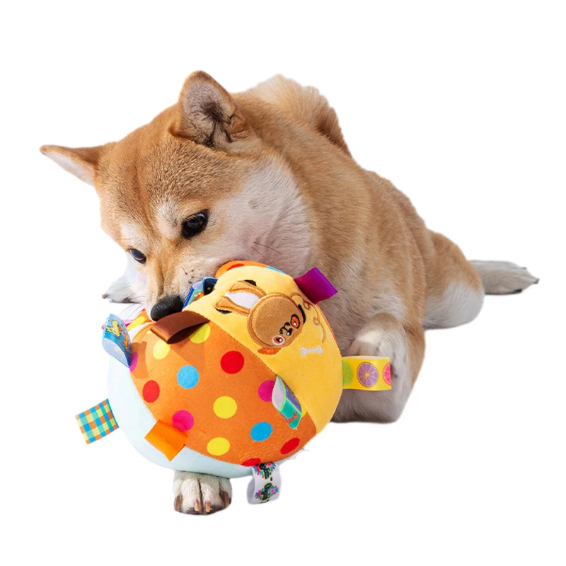 Ein brauner Hund interagiert mit einem orange-gelben interaktiven Hundeball.