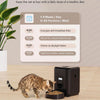 Automatic Pet Feeder with Timed Dispenser for Cats and Dogs
