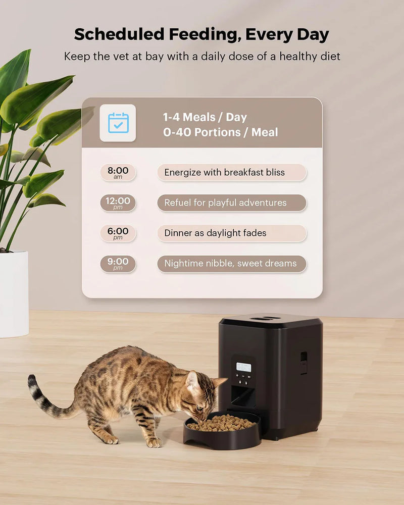 Automatic Pet Feeder with Timed Dispenser for Cats and Dogs