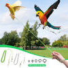 Adjustable Parrot Training Harness with Five Leg Loop Sizes