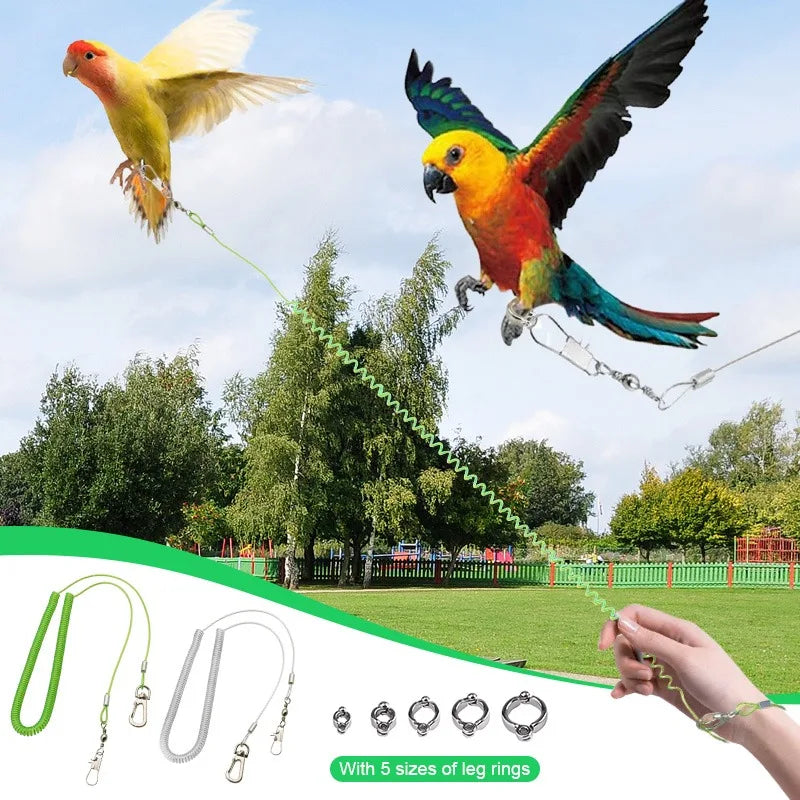 Adjustable Parrot Training Harness with Five Leg Loop Sizes