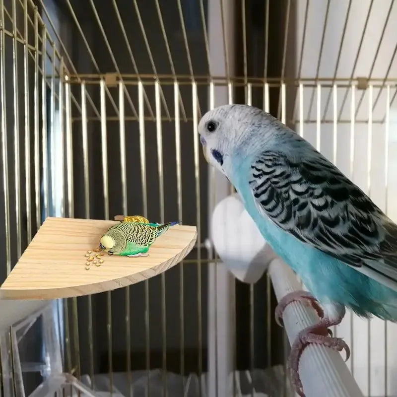 A blue and gray bird perched on a fan-shaped wooden perch inside a cage.