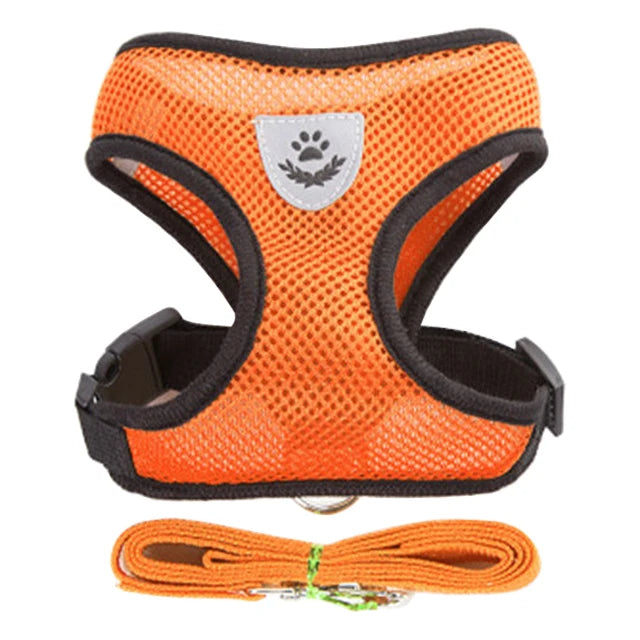 Orange pet harness and leash set with a paw print emblem