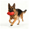 A German Shepherd dog holding a red hexagonal TPR chew toy.