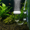 A clear glass aquarium CO2 diffuser with a white cap, tubing, and a bubble counter visible in a planted tank.