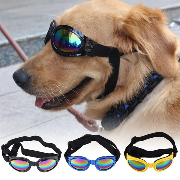 A golden retriever wearing a black foldable pet sunglasses on its face, with various colored options displayed below.