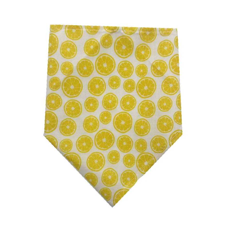 Summer Fruit Print Cotton Dog Bandana