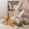 Dampfbürste für Katzen & Hunde