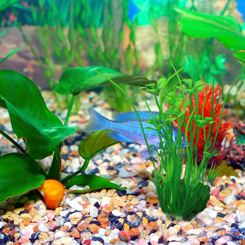 Lifelike Artificial Aquarium Plants and Ornaments