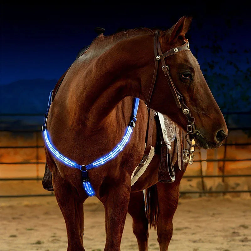 Nylon-LED-Halftergeschirr mit USB-Ladung