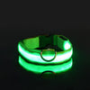 LED-Sicherheits-Hundeleine und Halsband-Set