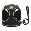 Adjustable Mesh Dog Harness Vest for Small and Medium Pets