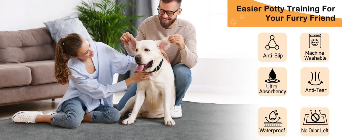 A woman is showing a dog a reusable mat designed for easier potty training.