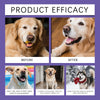 Pet Dental Care Wipes for Dogs and Cats