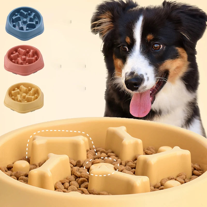 A black and white dog is looking at a yellow slow feeder bowl filled with kibble.