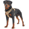 Tactical Dog Harness for Secure Control