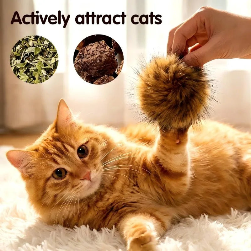 A fluffy orange cat is shown with several balls of rabbit fur, demonstrating an actively attracted cat toy.