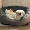 Very Soft Warm Dog Bed for Medium to Large Dogs