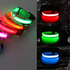 USB Charging Glowing Dog Collar with Pendant - Night Safety
