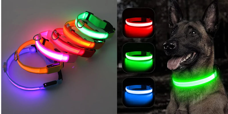 USB Charging Glowing Dog Collar with Pendant - Night Safety