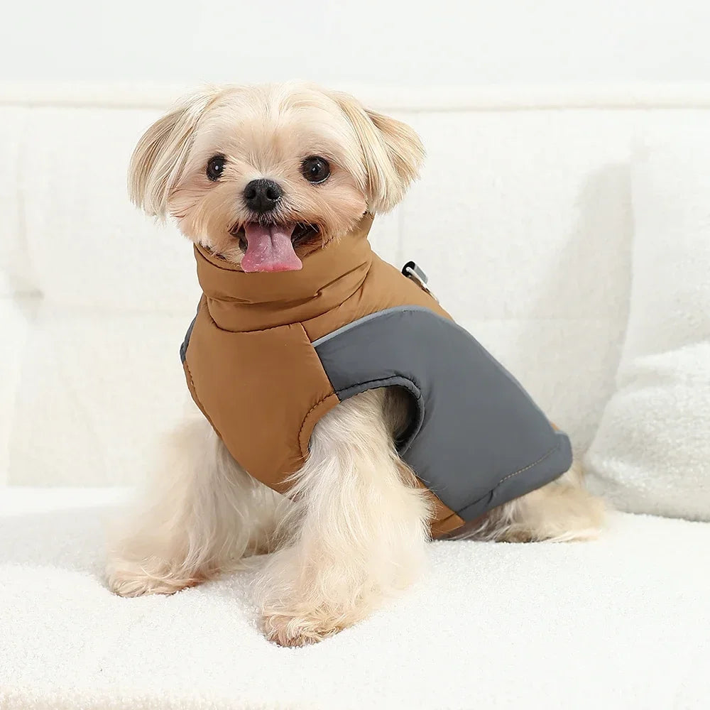 Un chien de couleur claire porte un gilet imperméable marron et gris, assis sur une surface blanche.