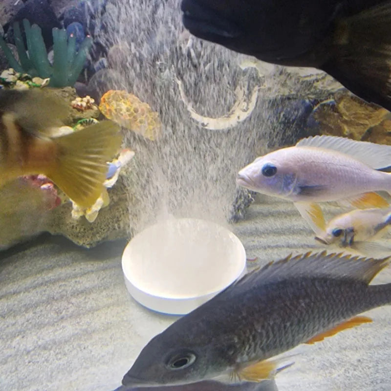 Aquarium Air Stone Aerator 3.5-10 cm Nano Bubble Stone