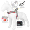 A white dog model wearing a gray reflective mesh harness for walking, showing features like safety traction and night visibil