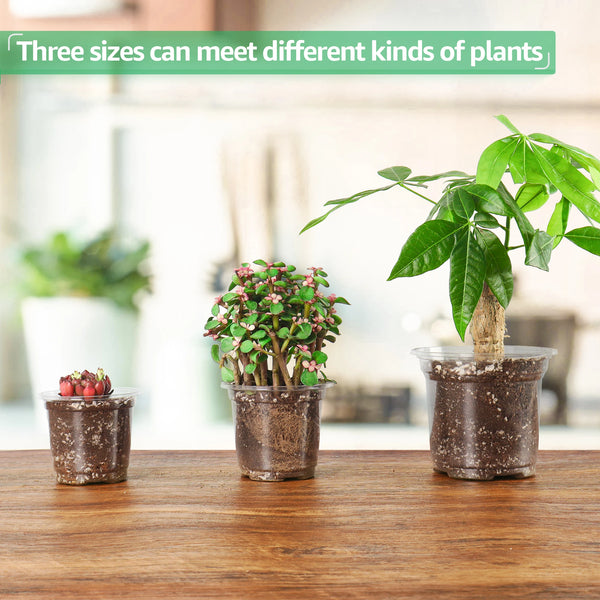 Clear Plastic Nursery Pots with Drainage Holes (Pack of 30)