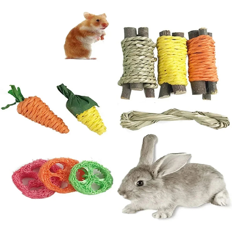 9-Piece Small Pet Chew Toy Set for Rabbits and Hamsters