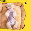 Striped Cotton Dog Recovery Suit for Post-Surgery Protection