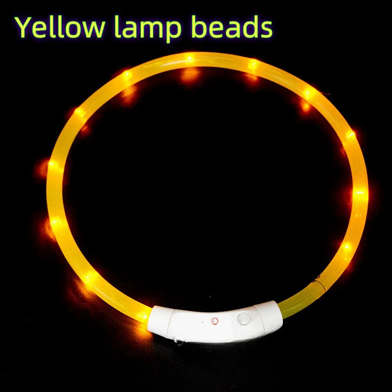 USB-aufladbarer LED-Hundehalsband