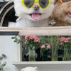 Fashion Pet Sunglasses with Heart-Shaped Jewelry Accents for Dogs & Cats